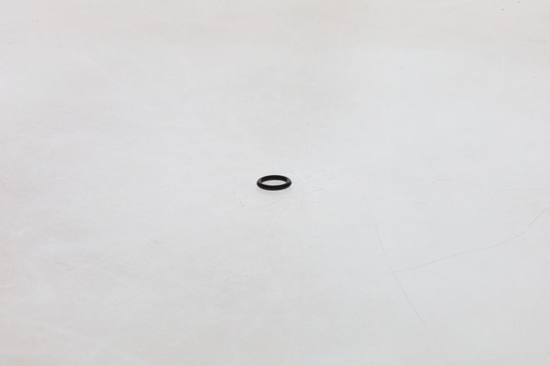 BOSCH F002A51088 Rubber Ring