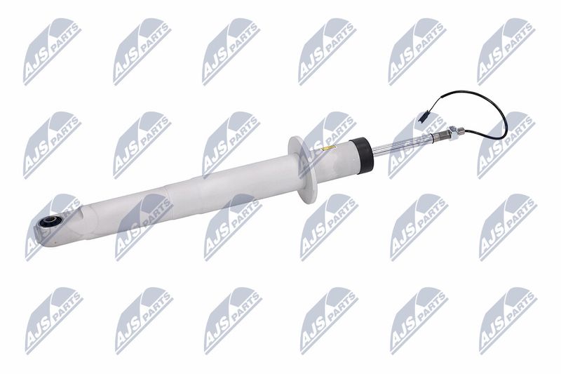Amort, NTY A-MA-003