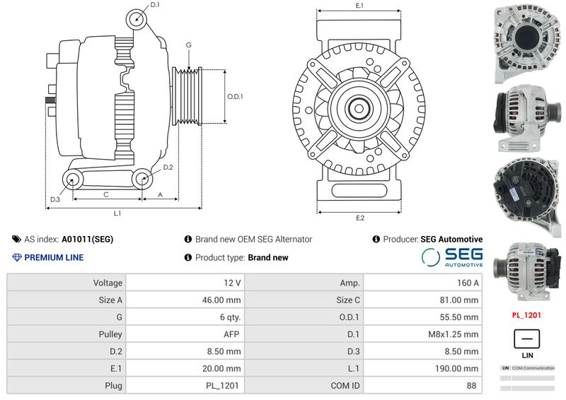 A01011(SEG)_256962.JPG