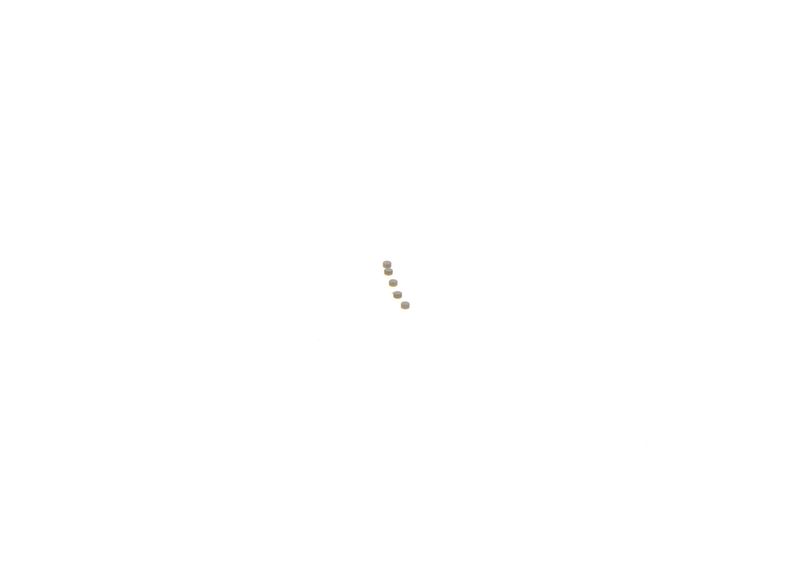BOSCH F00ZC99736 Repair Kit, common rail system