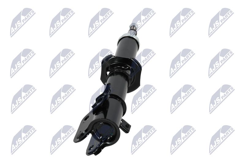 Amort, NTY A-SU-012