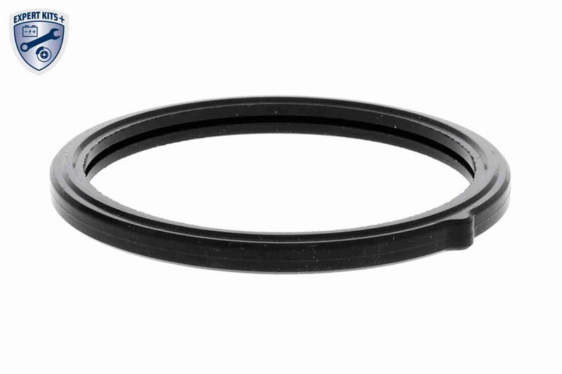ACKOJA A53-99-0002 Thermostat, coolant