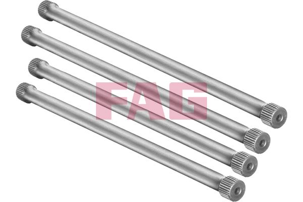 FAG Suspension Kit, coil springs 813 0001 30