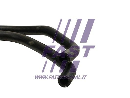FT61113_2_1.JPG