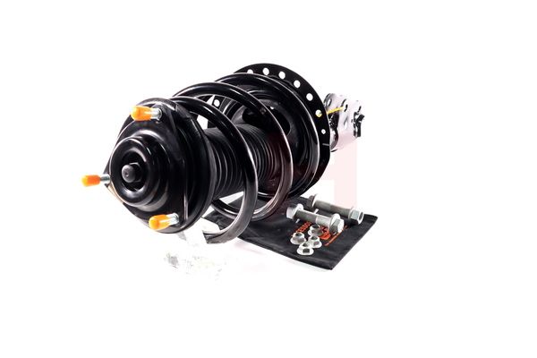 Vedruamort, GH GH-353057C01