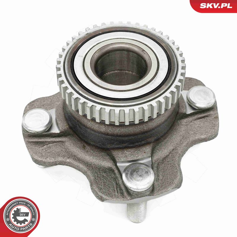 ESEN SKV 29SKV678 Wheel Bearing Kit