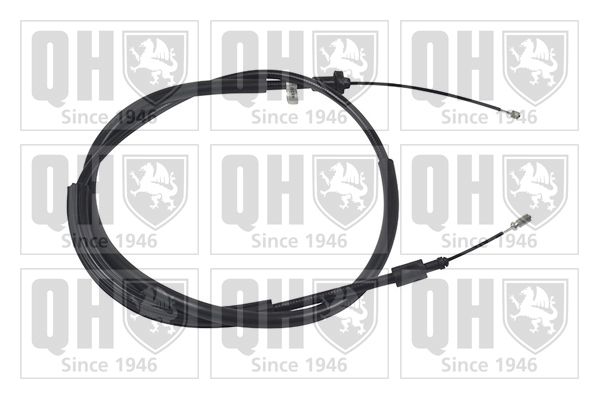 QH_BC3302.JPG