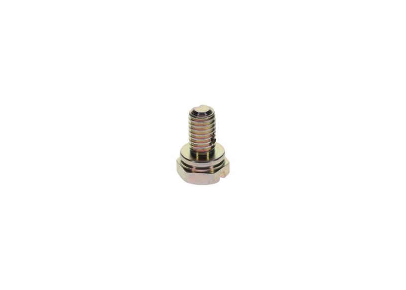 Surub 1 413 453 025 BOSCH