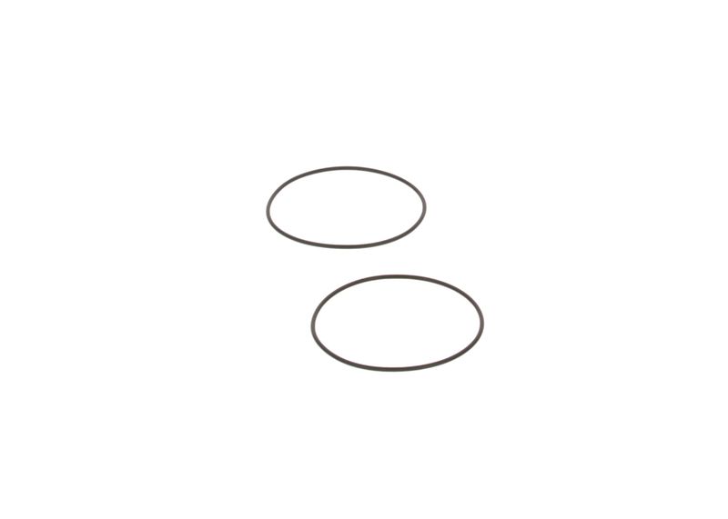 BOSCH 3130210005 Seal