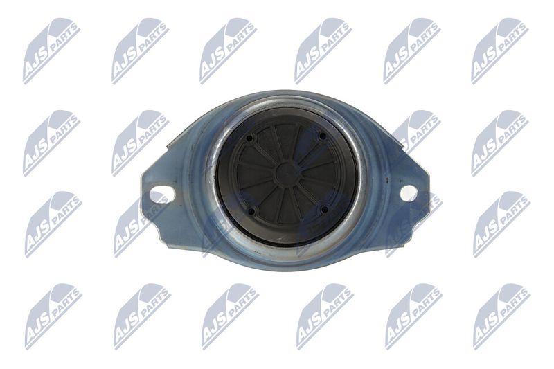 Paigutus, Mootor, NTY ZPS-LR-019