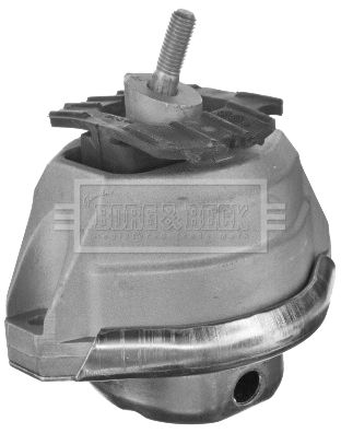 BEM4317_1375682.JPG