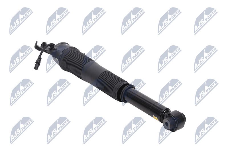 Amort, NTY A-LR-022