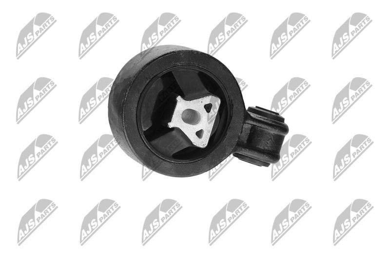 Paigutus, Mootor, NTY ZPS-CH-117