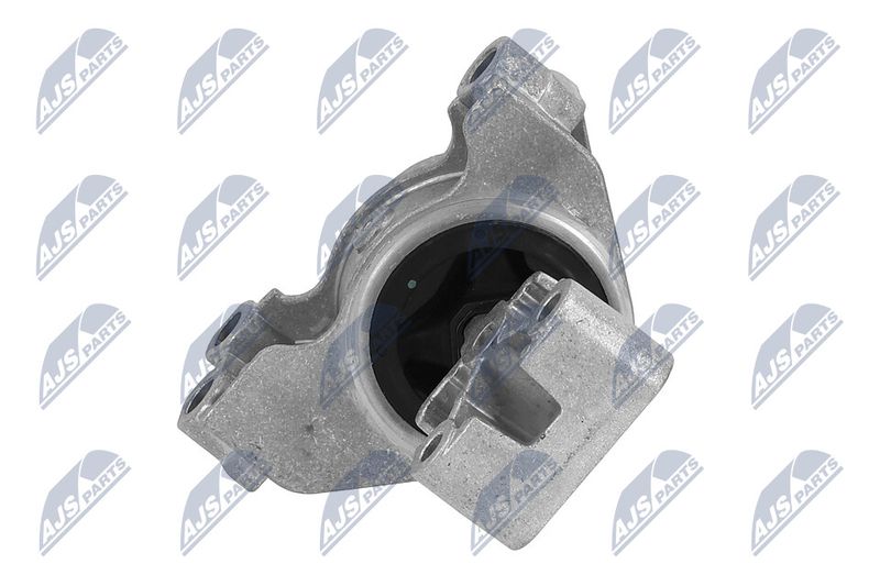 Paigutus, Mootor, NTY ZPS-PE-031