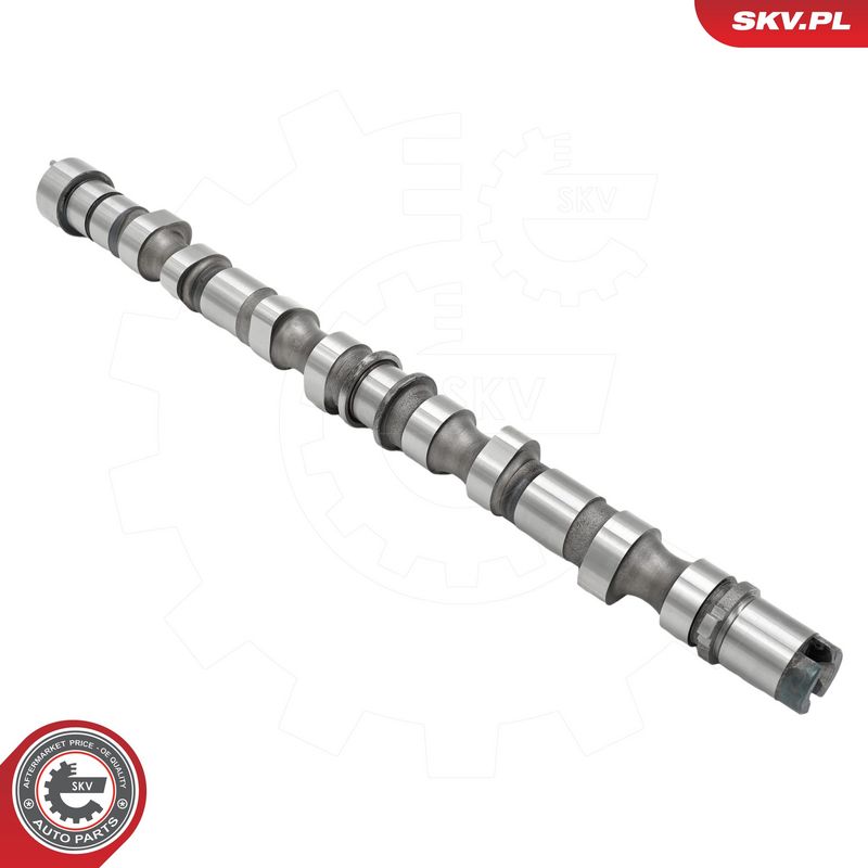 Nukkvõll, ESEN SKV 80SKV018