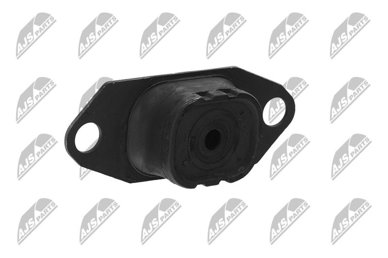 Paigutus, Mootor, NTY ZPS-NS-055