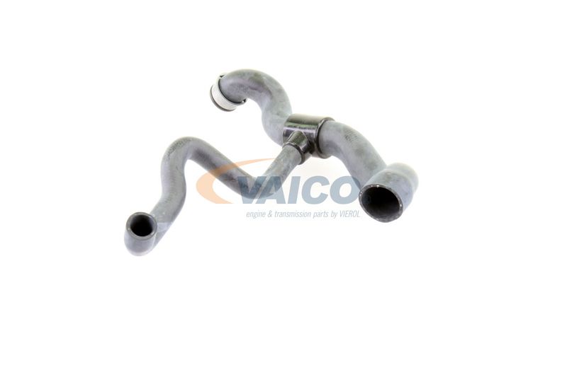VAICO V30-1660 Radiator Hose