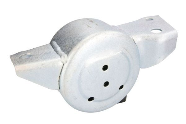 REINHOCH RH11-1086 Mounting, engine