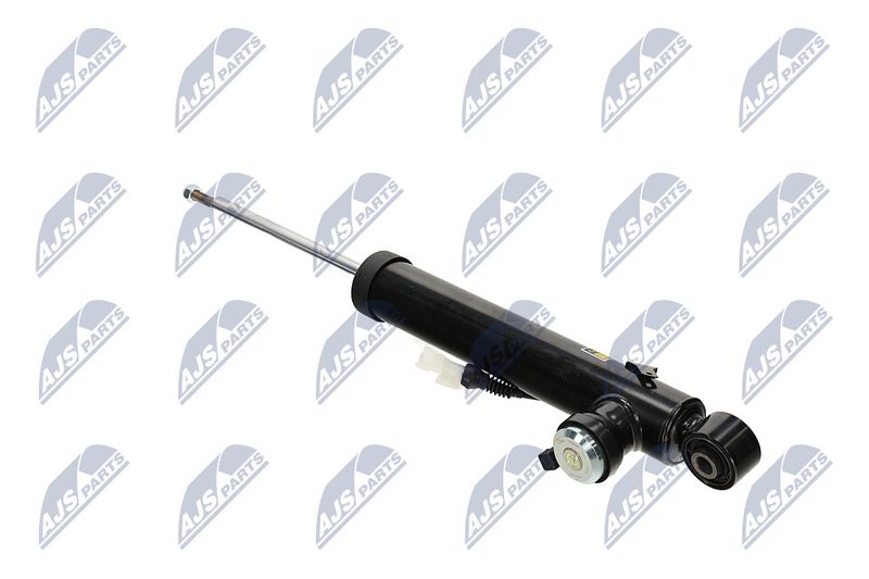 Amort, NTY A-PL-066