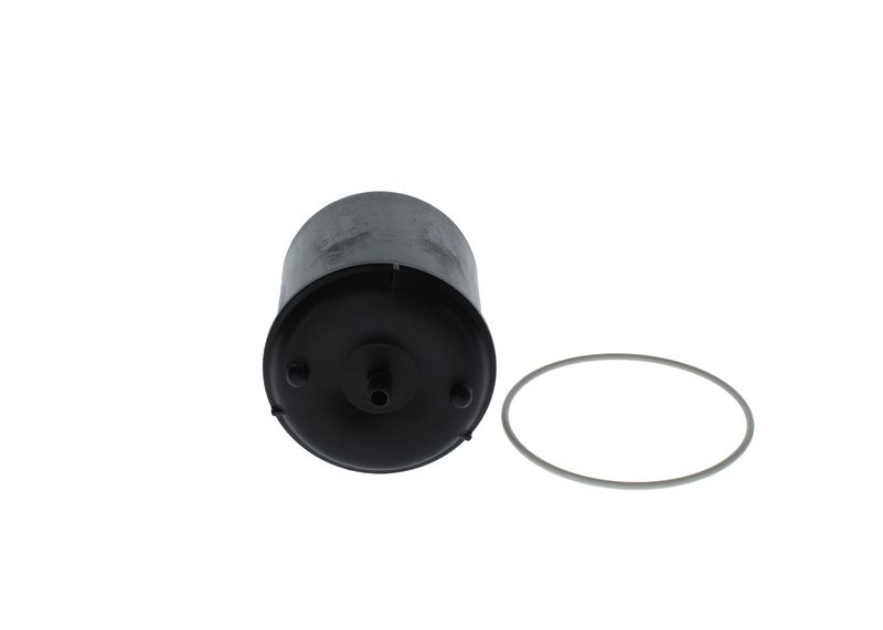 BOSCH F 026 407 119 Oil Filter