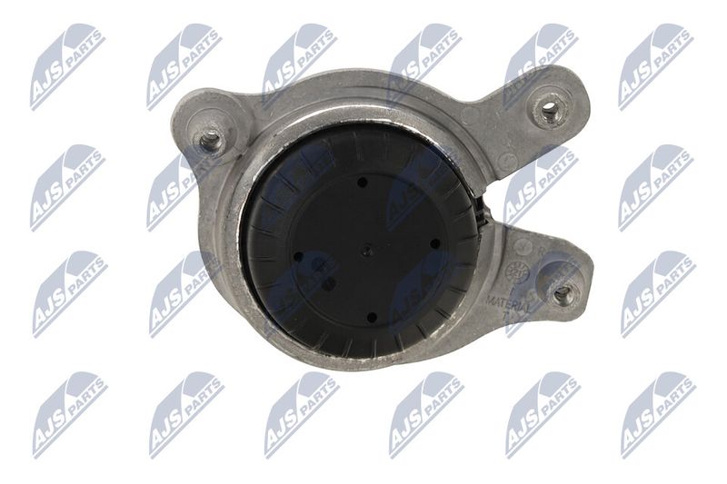 Paigutus, Mootor, NTY ZPS-ME-029