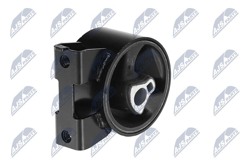 Paigutus, Mootor, NTY ZPS-CH-054