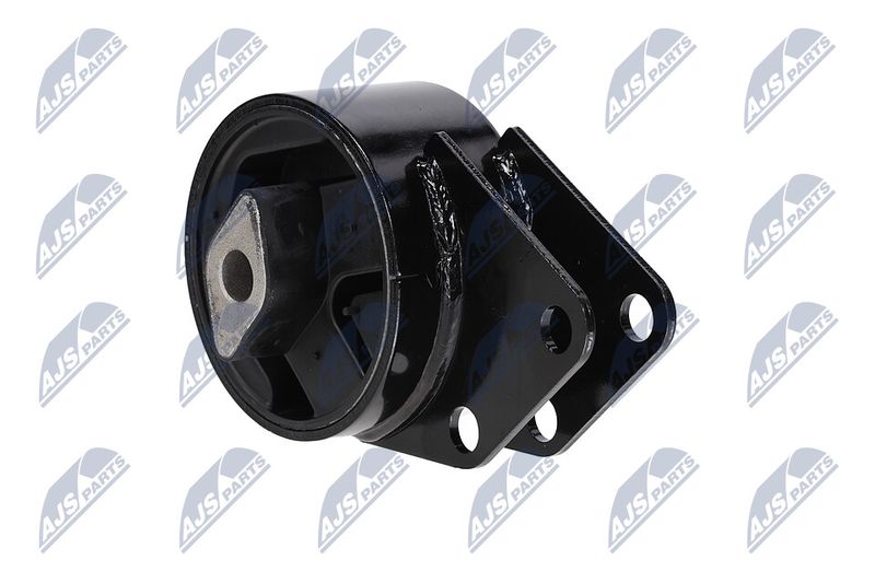 Paigutus, Mootor, NTY ZPS-CH-064