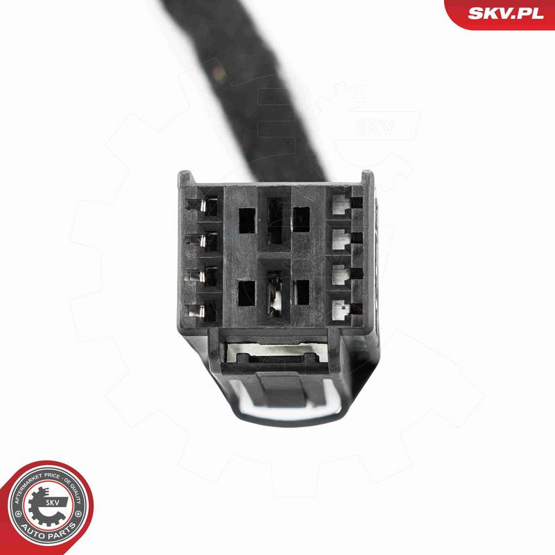 ESEN SKV 52SKV191 Electric Motor, tailgate