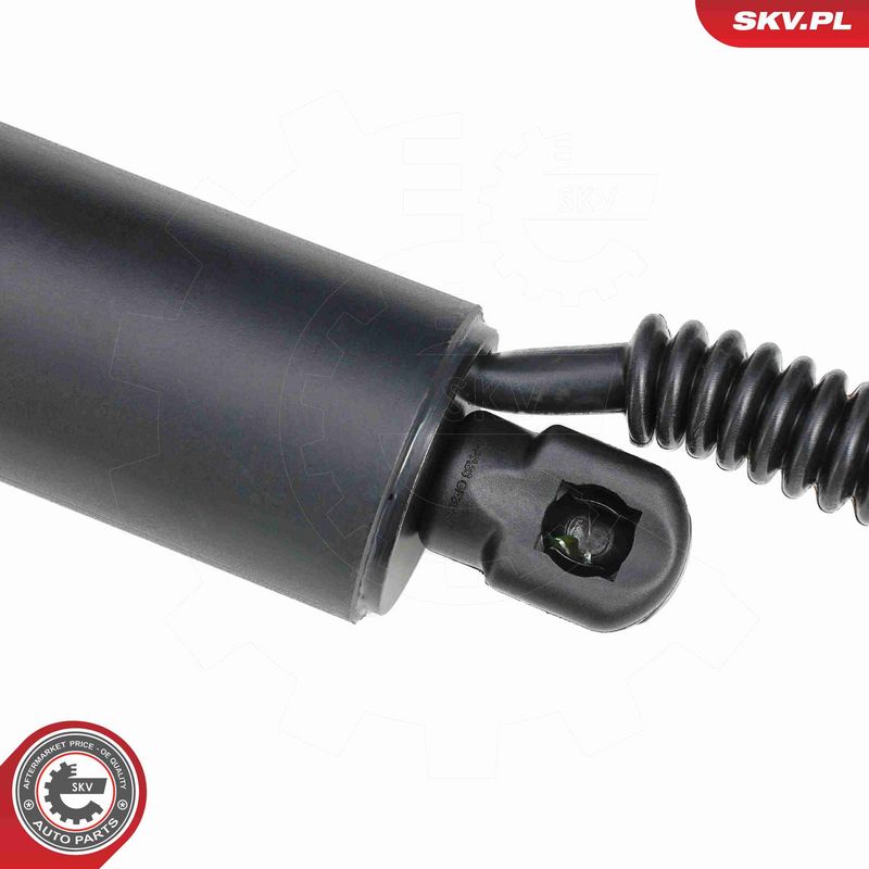 ESEN SKV 52SKV878 Electric Motor, tailgate