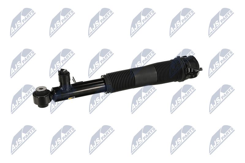 Amort, NTY A-LR-037