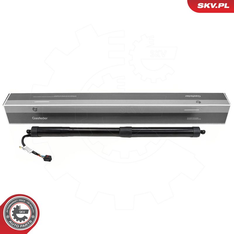 Elektrimootor, tagaluuk, ESEN SKV 52SKV166