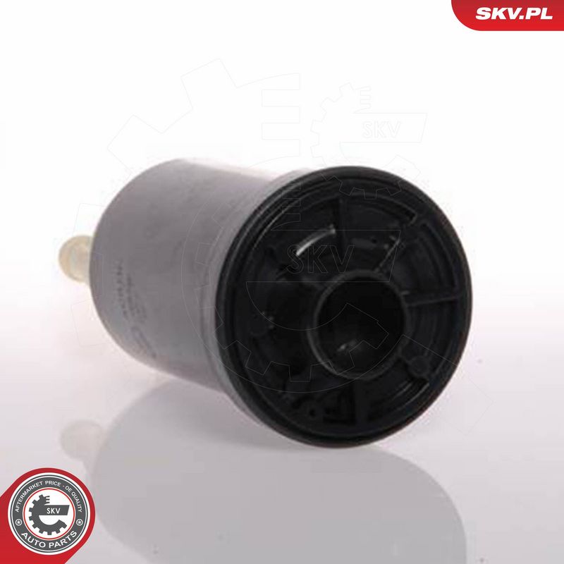 ESEN SKV 02SKV233 Fuel Pump