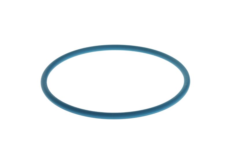 Inel cauciuc F 00N 204 925 BOSCH