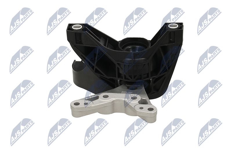 Paigutus, Mootor, NTY ZPS-PL-081