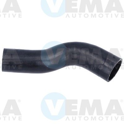 VE55797.JPG