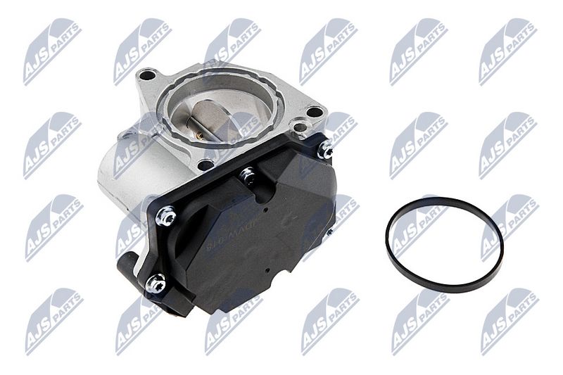 etb-vw-018_2-wm.JPG