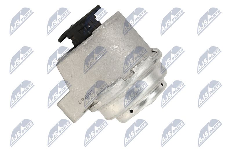 Paigutus, Mootor, NTY ZPS-FR-017