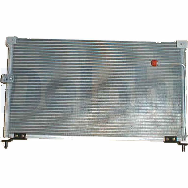 TSP0225316.JPG