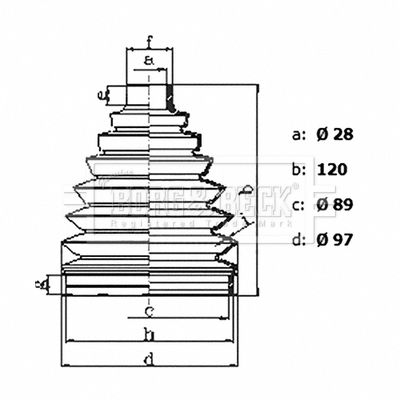 BCB6437_2248617.JPG