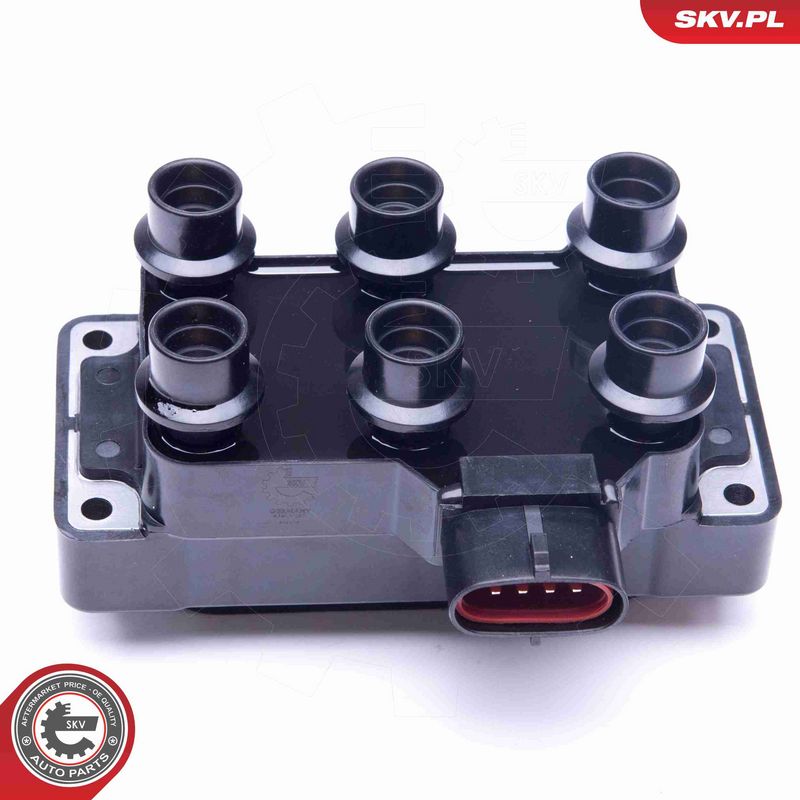 ESEN SKV 03SKV252 Ignition Coil