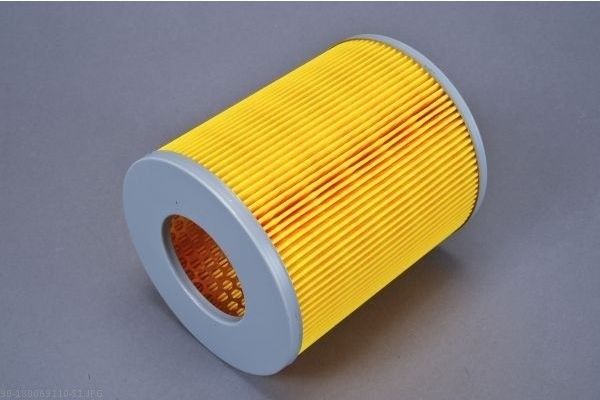 AUTOMEGA 180069110 Air Filter