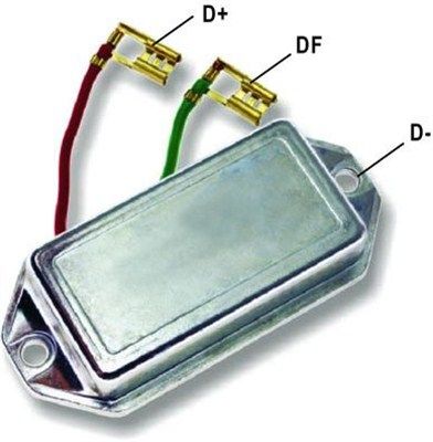 DDF_AMP0058_WR.JPG