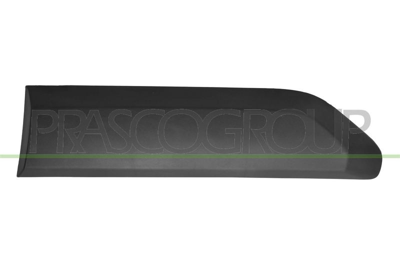 Elemente decorative/protectie, portiera PRASCO FT9131454