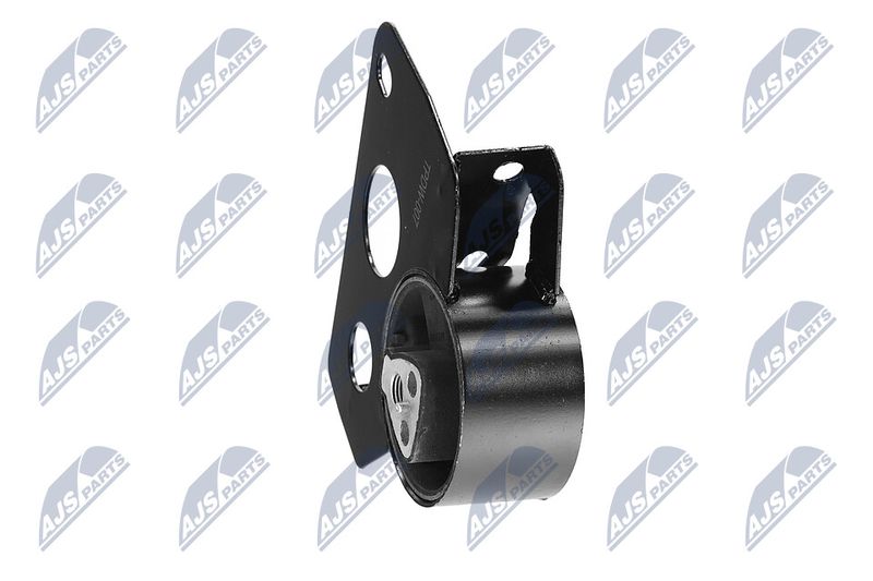 Paigutus, Mootor, NTY ZPS-DW-007