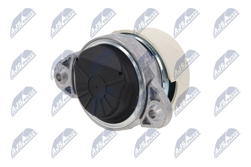 Paigutus, Mootor, NTY ZPS-ME-038