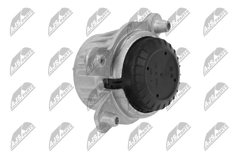 Paigutus, Mootor, NTY ZPS-ME-043