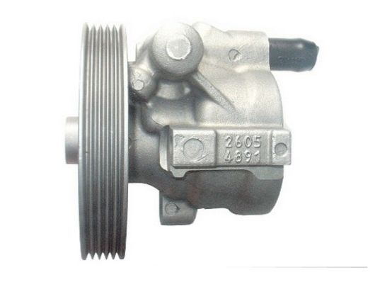 SPIDAN 54184 Hydraulic Pump, steering