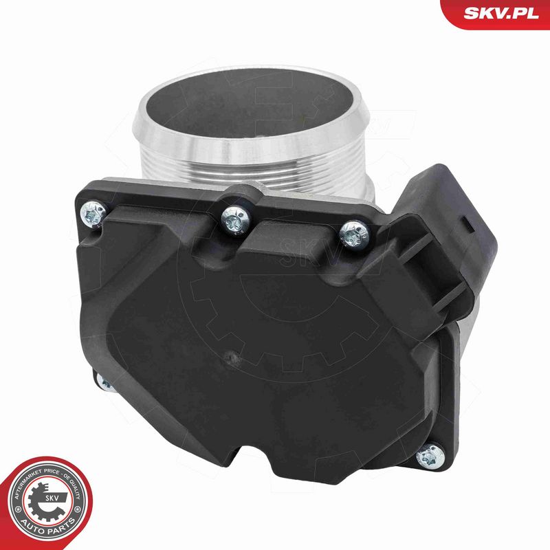 ESEN SKV 12SKV160 Throttle Body