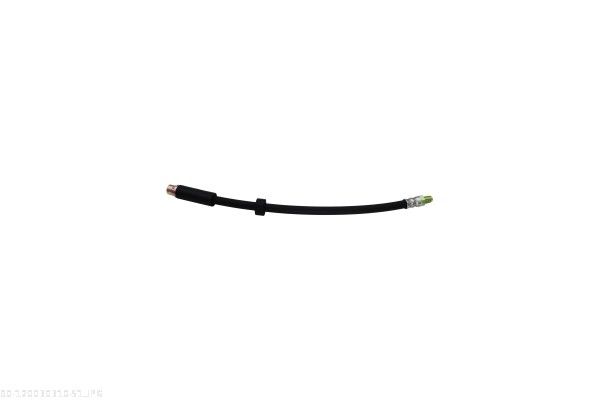 AUTOMEGA 120030310 Brake Hose