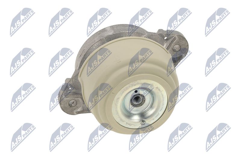 Paigutus, Mootor, NTY ZPS-ME-011